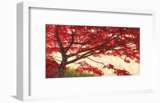 Acero-Leonardo Bacci-Framed Art Print