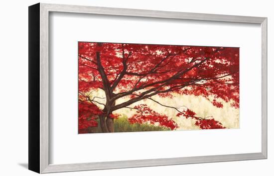 Acero-Leonardo Bacci-Framed Art Print