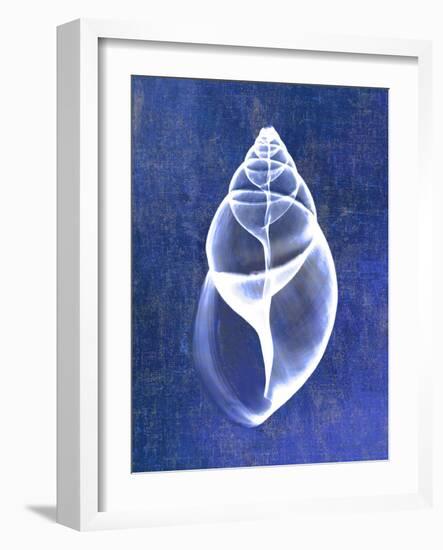 Achatina Shell (indigo)-Bert Myers-Framed Art Print