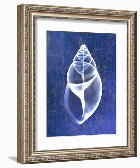 Achatina Shell (indigo)-Bert Myers-Framed Art Print