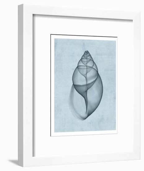 Achatina Shell (light blue)-Bert Myers-Framed Art Print