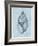 Achatina Shell (light blue)-Bert Myers-Framed Art Print