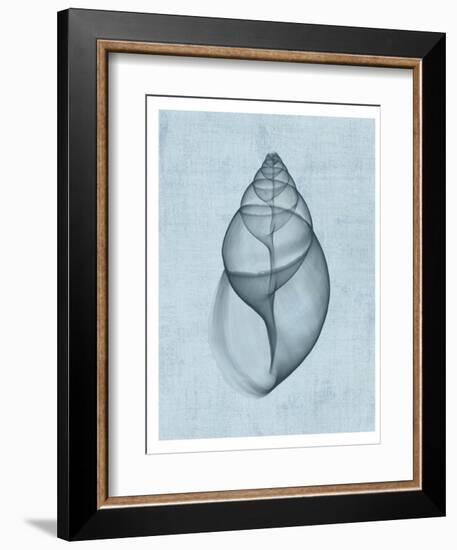 Achatina Shell (light blue)-Bert Myers-Framed Art Print