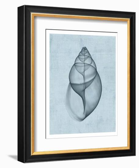 Achatina Shell (light blue)-Bert Myers-Framed Art Print