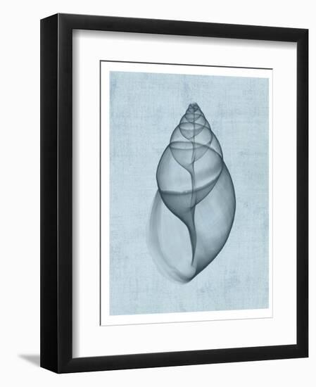 Achatina Shell (light blue)-Bert Myers-Framed Art Print