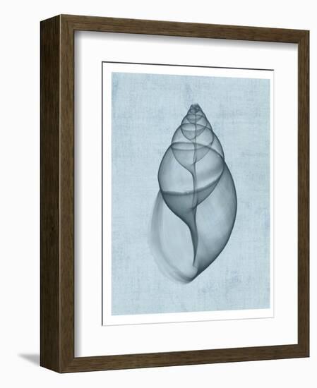 Achatina Shell (light blue)-Bert Myers-Framed Art Print