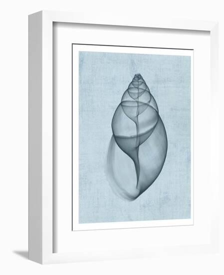 Achatina Shell (light blue)-Bert Myers-Framed Art Print