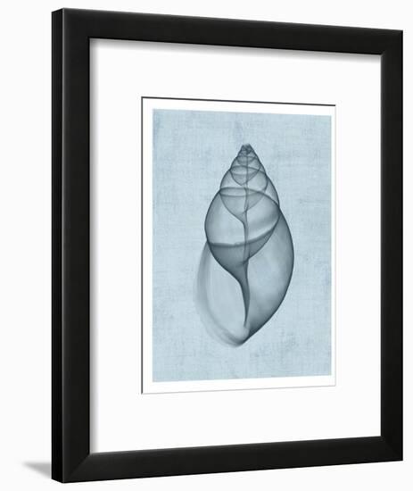 Achatina Shell (light blue)-Bert Myers-Framed Art Print