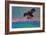 Achievement with Condor-Zhang Yong Xu-Framed Giclee Print