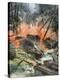 Stretched Canvas Print