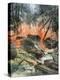 Stretched Canvas Print