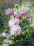 Poppies-Achille Theodore Cesbron-Premium Giclee Print