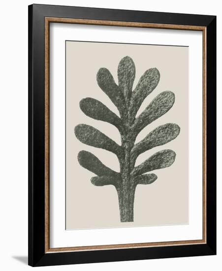 Achillea Umbellata-Karl Blossfeldt-Framed Giclee Print