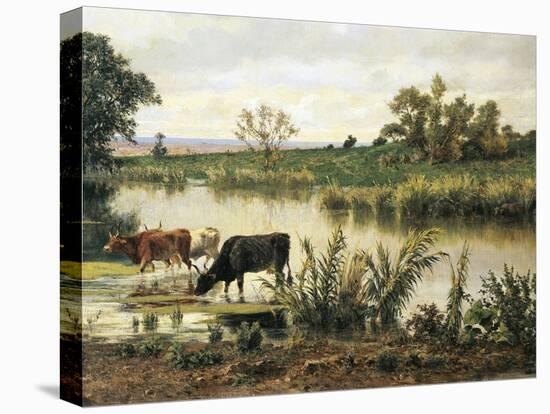 Stretched Canvas Print, , large