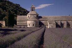 Mont Ventoux - Provence, France-Achim Bednorz-Framed Photographic Print
