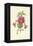 Achimenes-Frederick Edward Hulme-Framed Premier Image Canvas