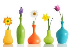 Spring Flowers In Vases Isolated On White-Acik-Premium Giclee Print