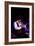 Acker Bilk, Dorking Halls, Dorking, Surrey, 2012-Brian O'Connor-Framed Photographic Print