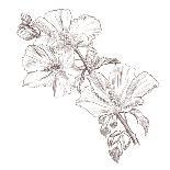 Hand Drawing Hibiscus Flower-Acnaleksy-Art Print