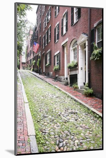 Acorn Street, the Oldest Street in the Beacon Hill Area of Boston Massachusetts-pdb1-Mounted Photographic Print