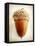 Acorn-Jessica Rogers-Framed Premier Image Canvas