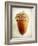 Acorn-Jessica Rogers-Framed Giclee Print