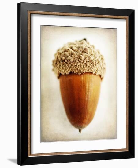 Acorn-Jessica Rogers-Framed Giclee Print