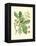 Acorns & Foliage I-null-Framed Stretched Canvas