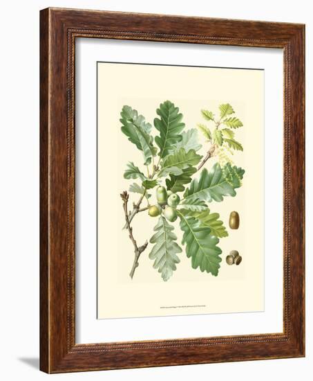 Acorns & Foliage I-null-Framed Art Print