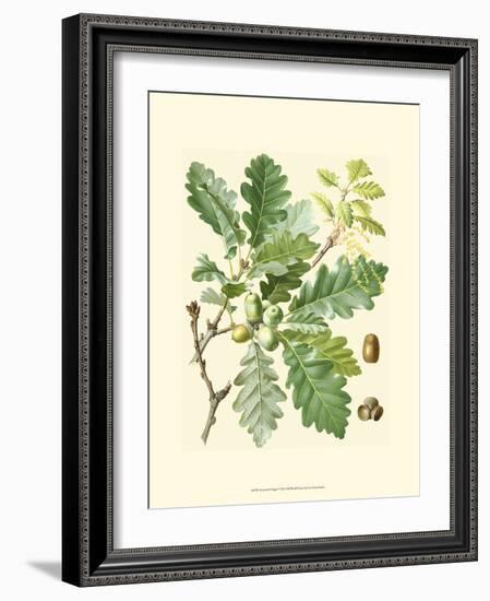 Acorns & Foliage I-null-Framed Art Print