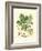 Acorns & Foliage II-null-Framed Art Print