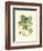 Acorns & Foliage II-null-Framed Art Print