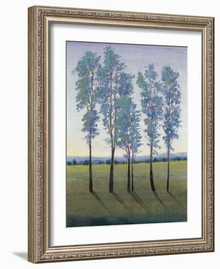 Acreage II-Tim O'toole-Framed Art Print