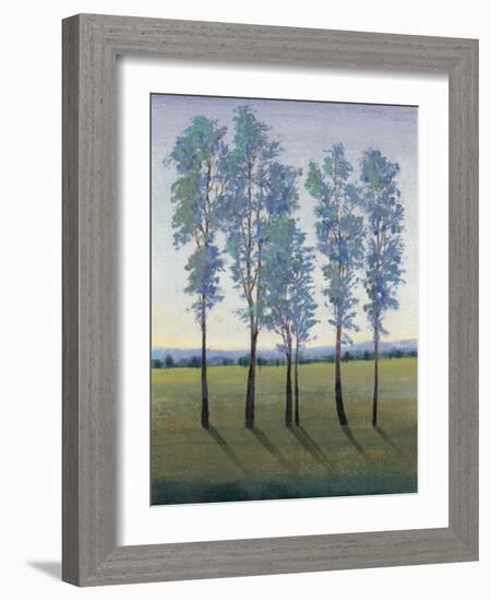 Acreage II-Tim O'toole-Framed Art Print