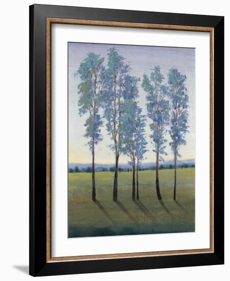 Acreage II-Tim O'toole-Framed Art Print