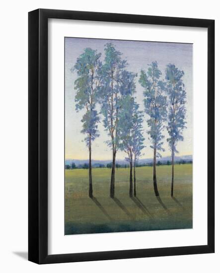 Acreage II-Tim O'toole-Framed Art Print