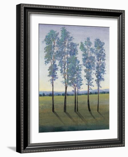 Acreage II-Tim O'toole-Framed Art Print