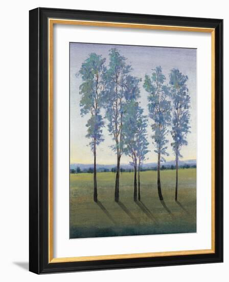 Acreage II-Tim O'toole-Framed Art Print