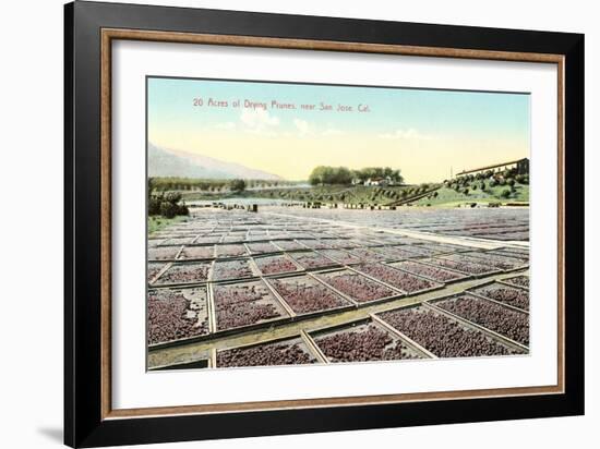 Acres of Drying Prunes-null-Framed Art Print