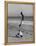 Acrobat/Actor, Russ Tamblyn Doing a Flip on Beach with Movie Actress Venetia Stevenson Watching Him-Allan Grant-Framed Premier Image Canvas