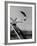 Acrobat and Actor Russ Tamblyn Doing a Flip at a Playground with Movie Actress Venetia Stevenson-Allan Grant-Framed Premium Photographic Print