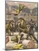 Acrobats Falls, Lion Cage-A. Beltrame-Mounted Art Print