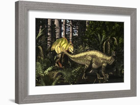 Acrocanthosaurus Hunting Tenontosaurus in a Forest-Stocktrek Images-Framed Art Print