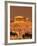 Acropolis and Parthenon from Filopappou Hill, Athens, Greece-Anders Blomqvist-Framed Photographic Print