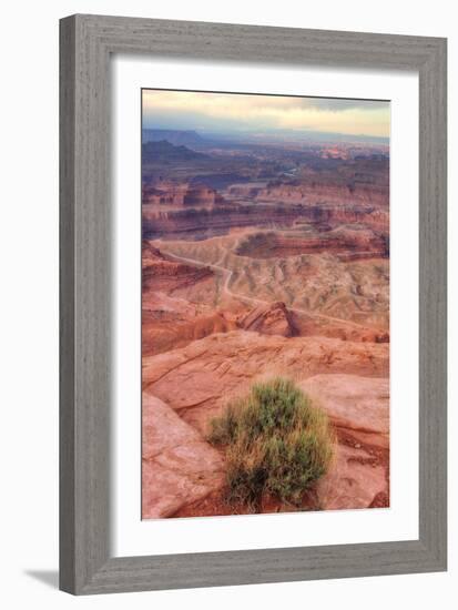 Across Dead Horse Point-Vincent James-Framed Photographic Print