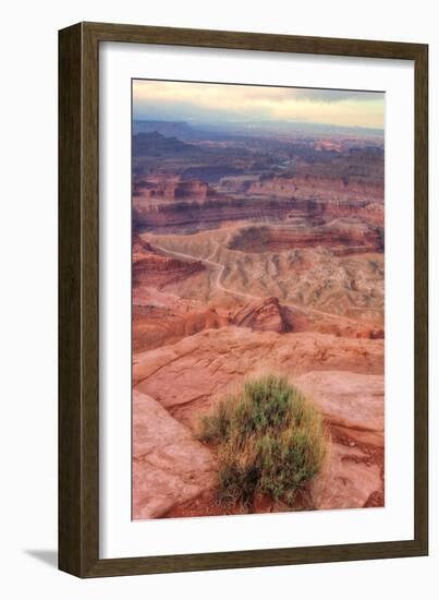 Across Dead Horse Point-Vincent James-Framed Photographic Print