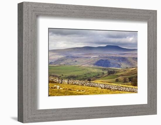 Across Ribblesdale to Ingleborough from Above Stainforth Near Settle, Yorkshire Dales, Yorkshire-Mark Sunderland-Framed Photographic Print