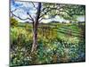 Across The Fields-Tilly Willis-Mounted Giclee Print