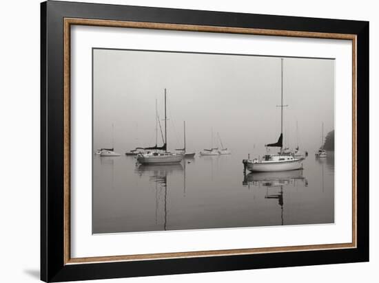 Across the Lake - BW-Tammy Putman-Framed Photographic Print