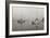 Across the Lake - BW-Tammy Putman-Framed Photographic Print